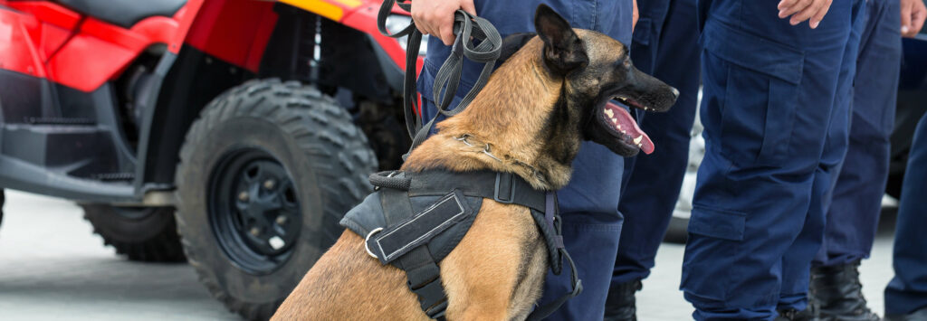 Global K9 Protection Group case study